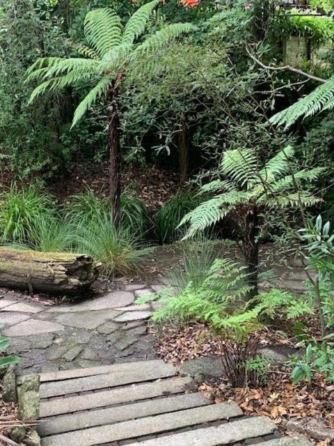 Private Guest Wing - Durie Vale Lodge Whanganui Buitenkant foto