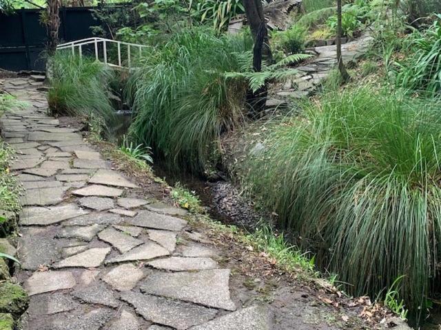 Private Guest Wing - Durie Vale Lodge Whanganui Buitenkant foto